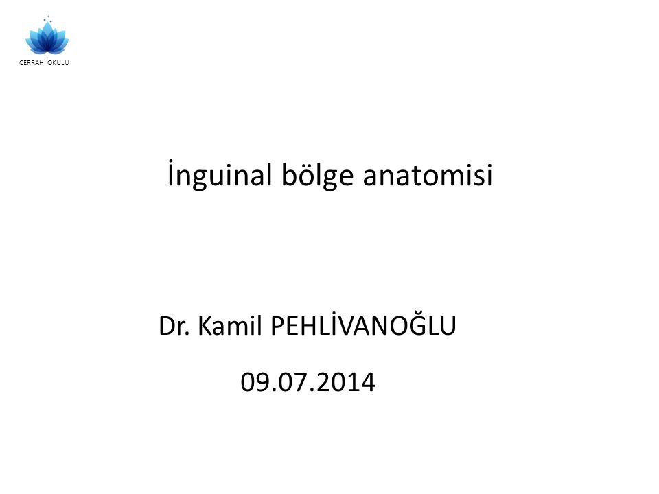 İnguinal bölge anatomisi