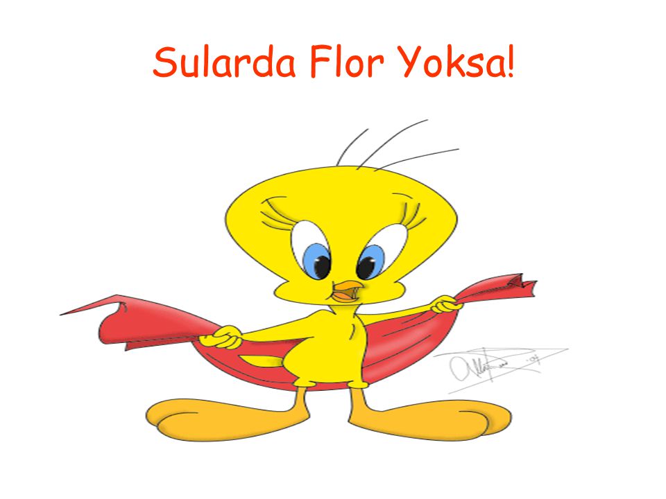 Sularda Flor Yoksa!