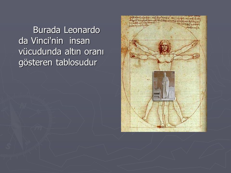 Burada Leonardo da Vinci nin insan vücudunda altın oranı gösteren tablosudur