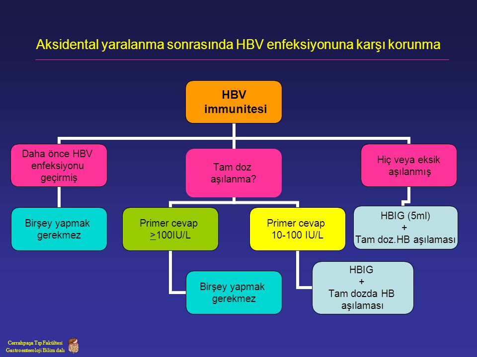 Aksidental yaralanma sonrasında HBV enfeksiyonuna karşı korunma