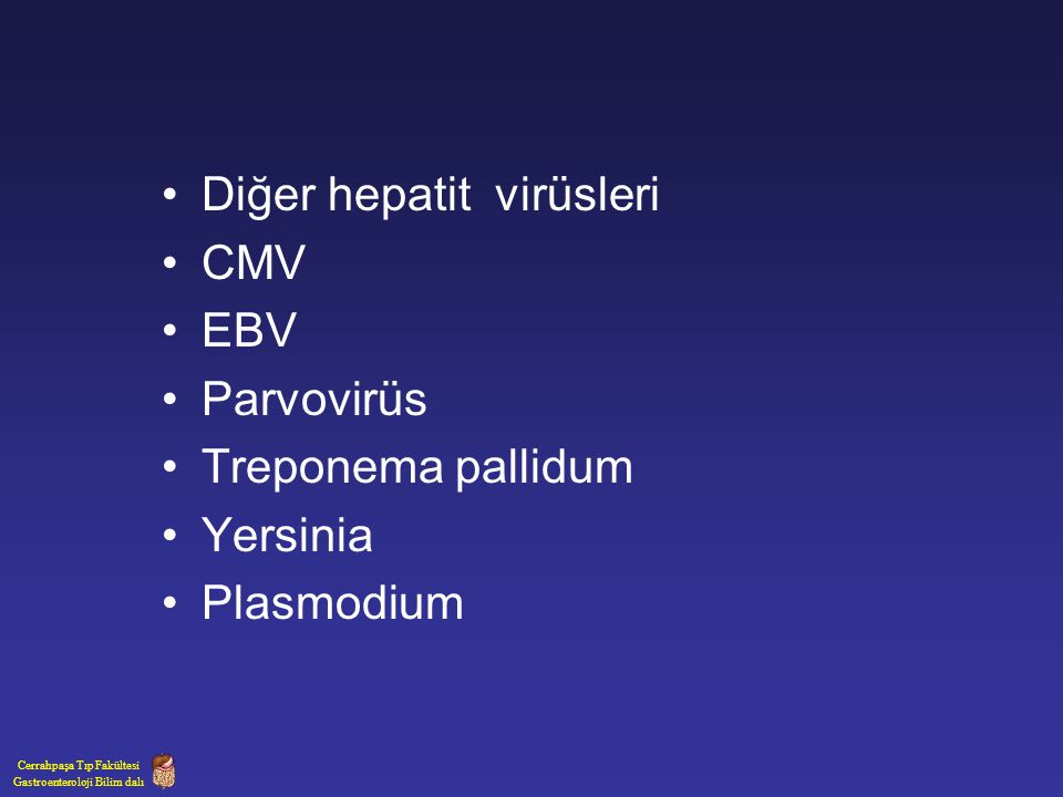 Diğer hepatit virüsleri CMV EBV Parvovirüs Treponema pallidum Yersinia