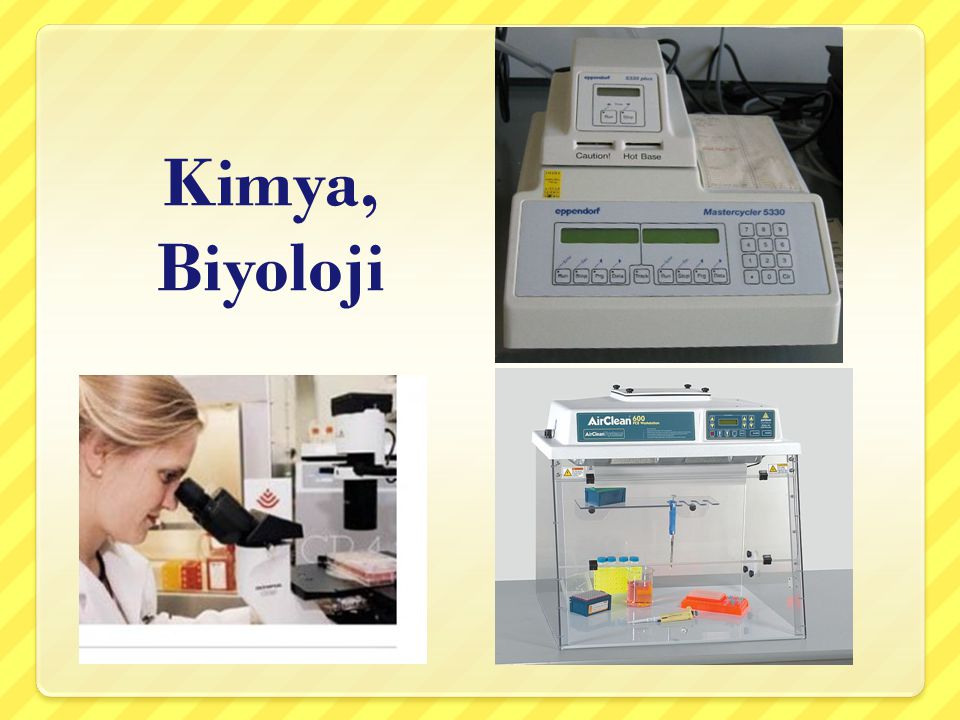 Kimya, Biyoloji