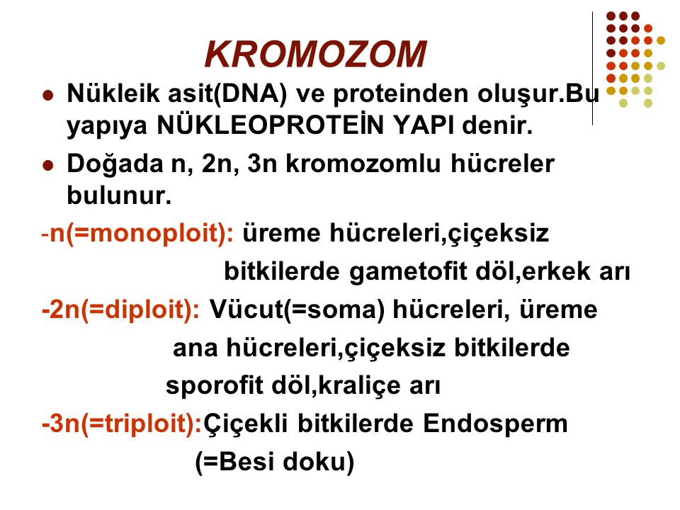 KROMOZOM Nükleik asit(DNA) ve proteinden oluşur.Bu yapıya NÜKLEOPROTEİN YAPI denir. Doğada n, 2n, 3n kromozomlu hücreler bulunur.