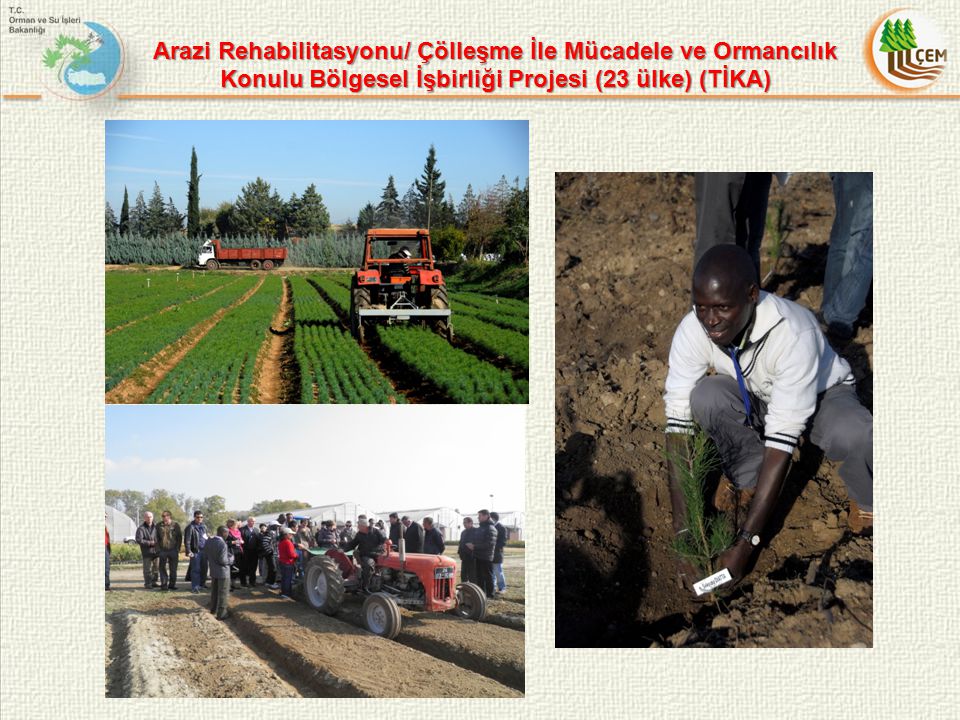 Arazi Rehabilitasyonu/ Çölleşme İle Mücadele ve Ormancılık Konulu Bölgesel İşbirliği Projesi (23 ülke) (TİKA)