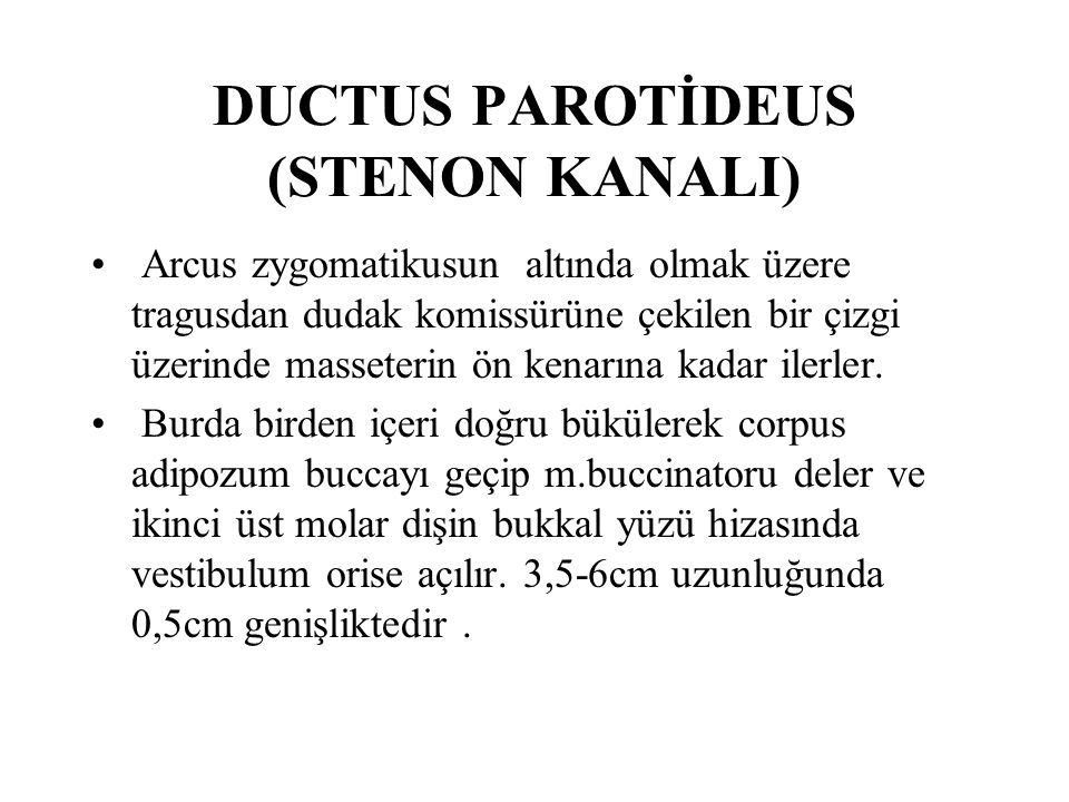DUCTUS PAROTİDEUS (STENON KANALI)