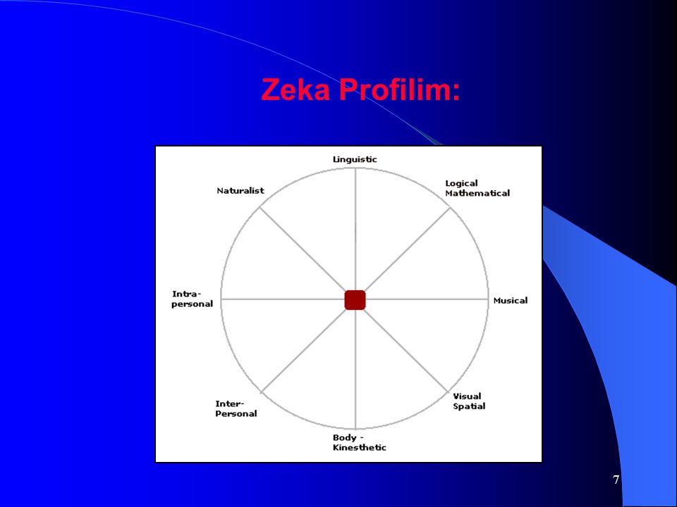 Zeka Profilim: