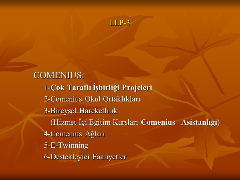COMENIUS: LLP-3 1-Çok Taraflı İşbirliği Projeleri