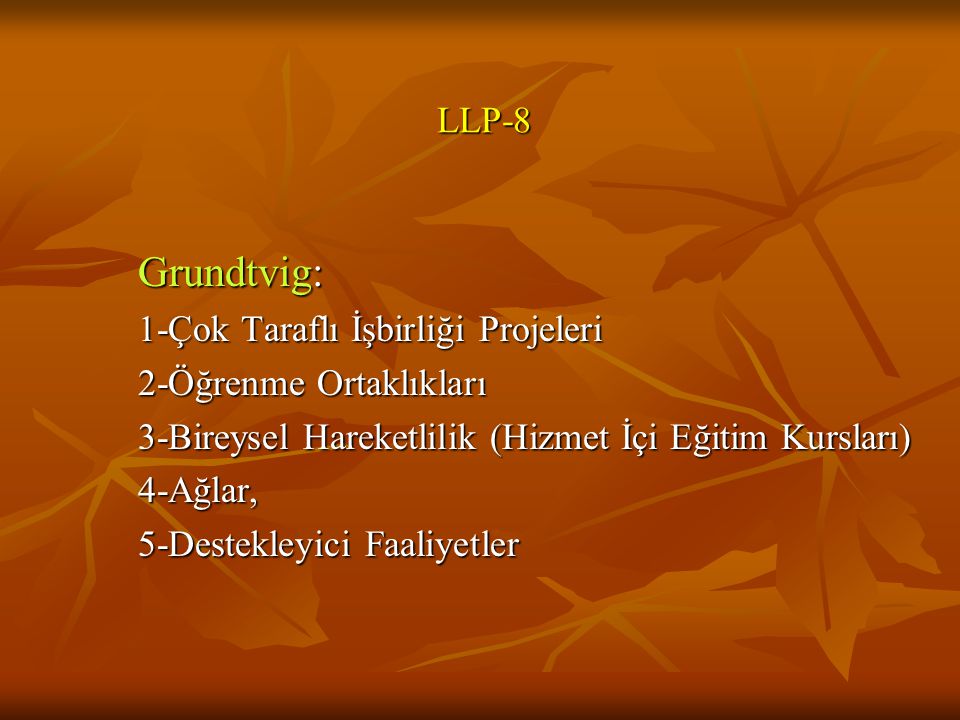 Grundtvig: LLP-8 2-Öğrenme Ortaklıkları