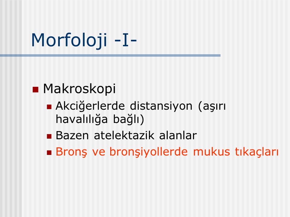 Morfoloji -I- Makroskopi