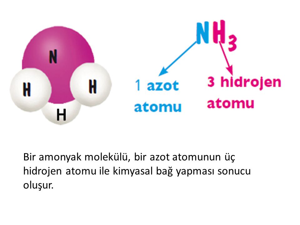 Bir amonyak molekülü, bir azot atomunun üç hidrojen atomu ile kimyasal bağ yapması sonucu oluşur.