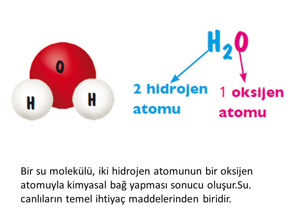 Bir su molekülü, iki hidrojen atomunun bir oksijen atomuyla kimyasal bağ yapması sonucu oluşur.Su.