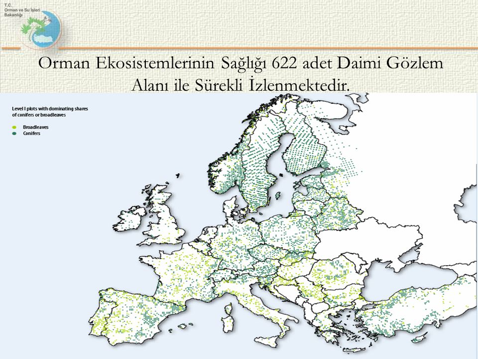 Orman Ekosistemlerinin Sağlığı 622 adet Daimi Gözlem Alanı ile Sürekli İzlenmektedir.