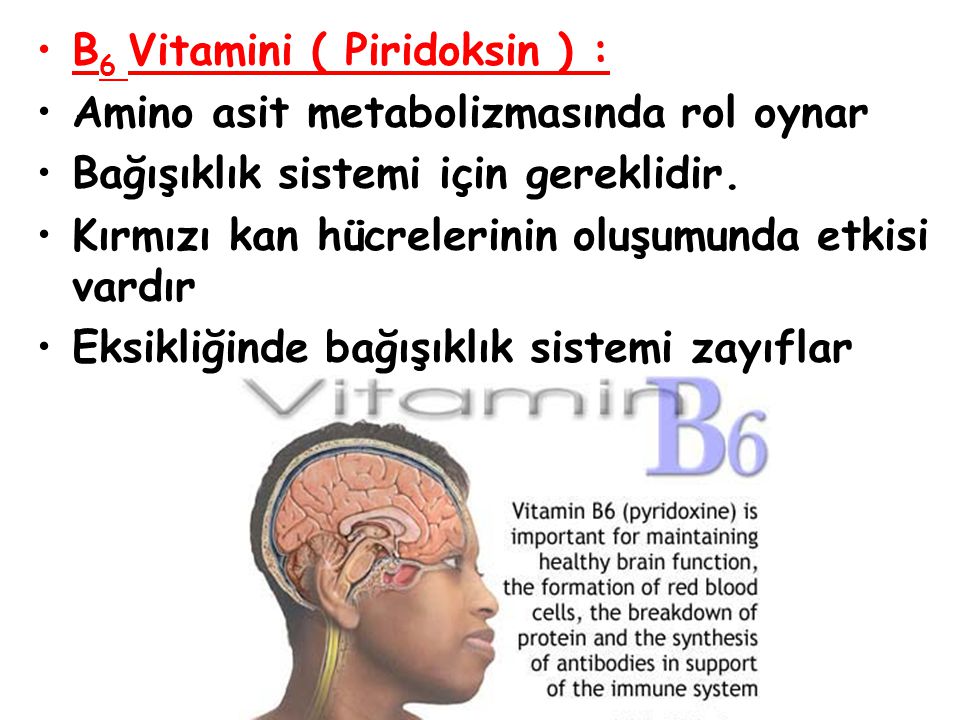 B6 Vitamini ( Piridoksin ) :