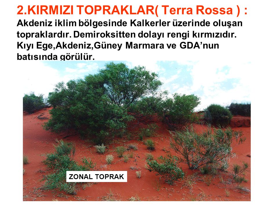 2.KIRMIZI TOPRAKLAR( Terra Rossa ) : Akdeniz iklim bölgesinde Kalkerler üzerinde oluşan topraklardır. Demiroksitten dolayı rengi kırmızıdır. Kıyı Ege,Akdeniz,Güney Marmara ve GDA’nun batısında görülür.