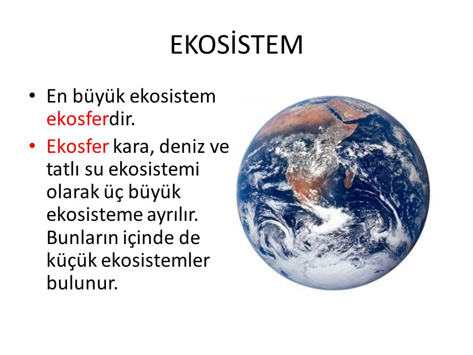 EKOSİSTEM En büyük ekosistem ekosferdir.