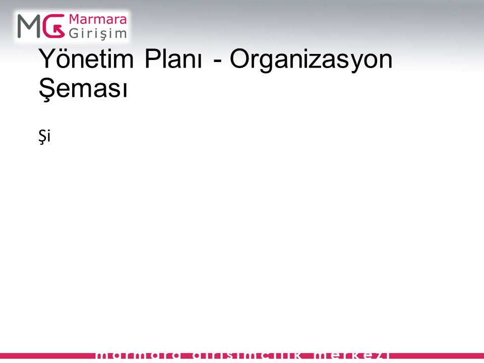 Yönetim Planı - Organizasyon Şeması