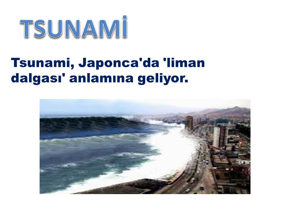 TSUNAMİ Tsunami, Japonca da liman dalgası anlamına geliyor.