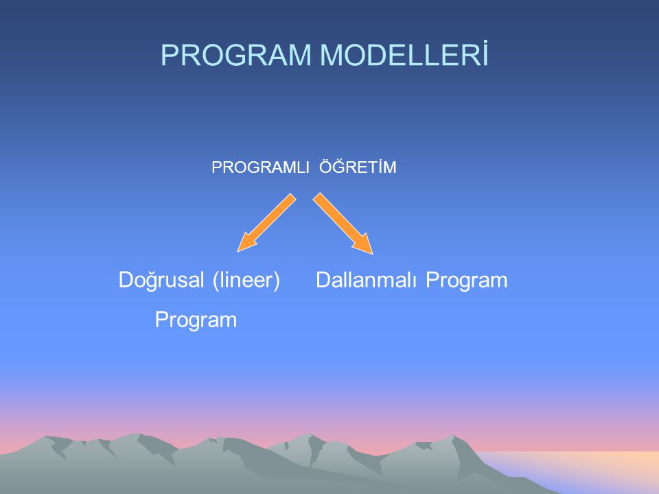 PROGRAM MODELLERİ Doğrusal (lineer) Dallanmalı Program Program