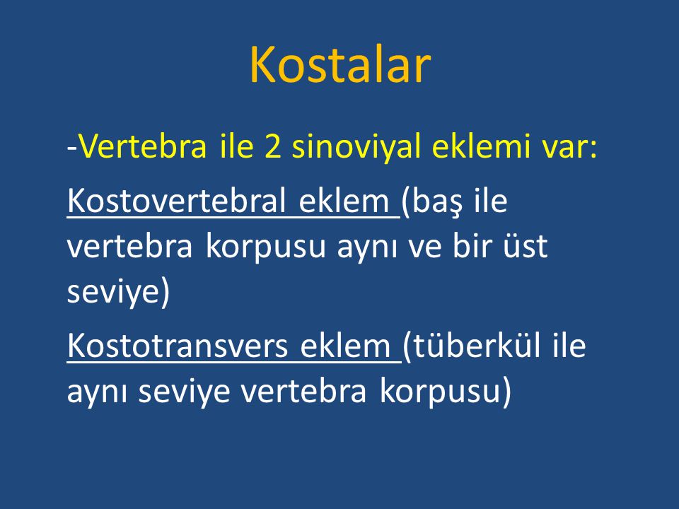 Kostalar -Vertebra ile 2 sinoviyal eklemi var: Kostovertebral eklem (baş ile vertebra korpusu aynı ve bir üst seviye)