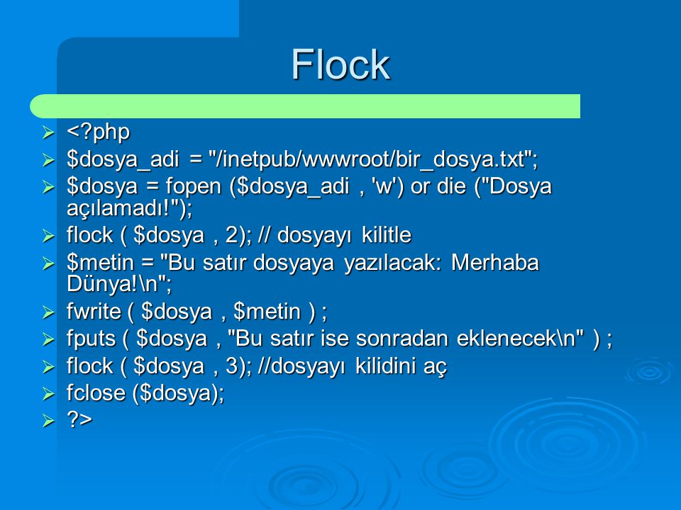 Flock < php $dosya_adi = /inetpub/wwwroot/bir_dosya.txt ;
