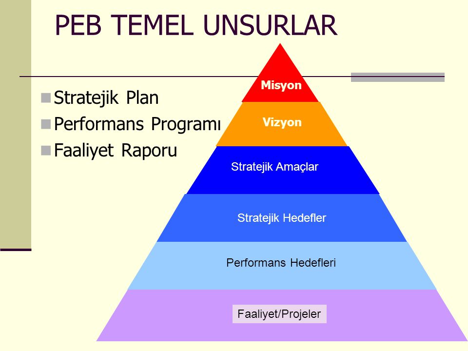 PEB TEMEL UNSURLAR Stratejik Plan Performans Programı Faaliyet Raporu