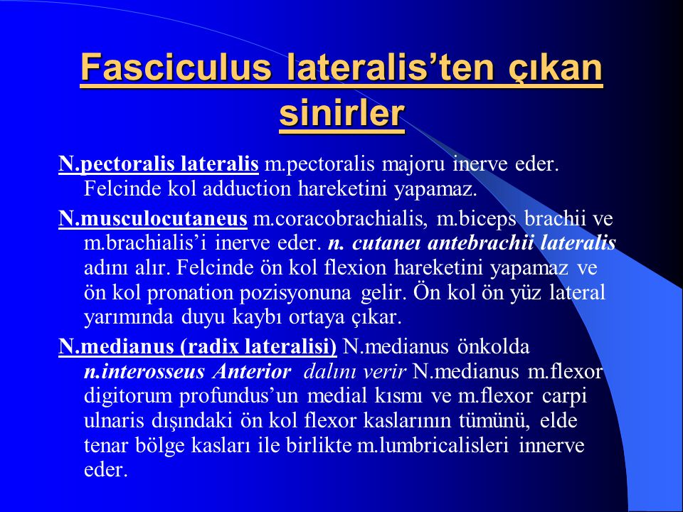 Fasciculus lateralis’ten çıkan sinirler