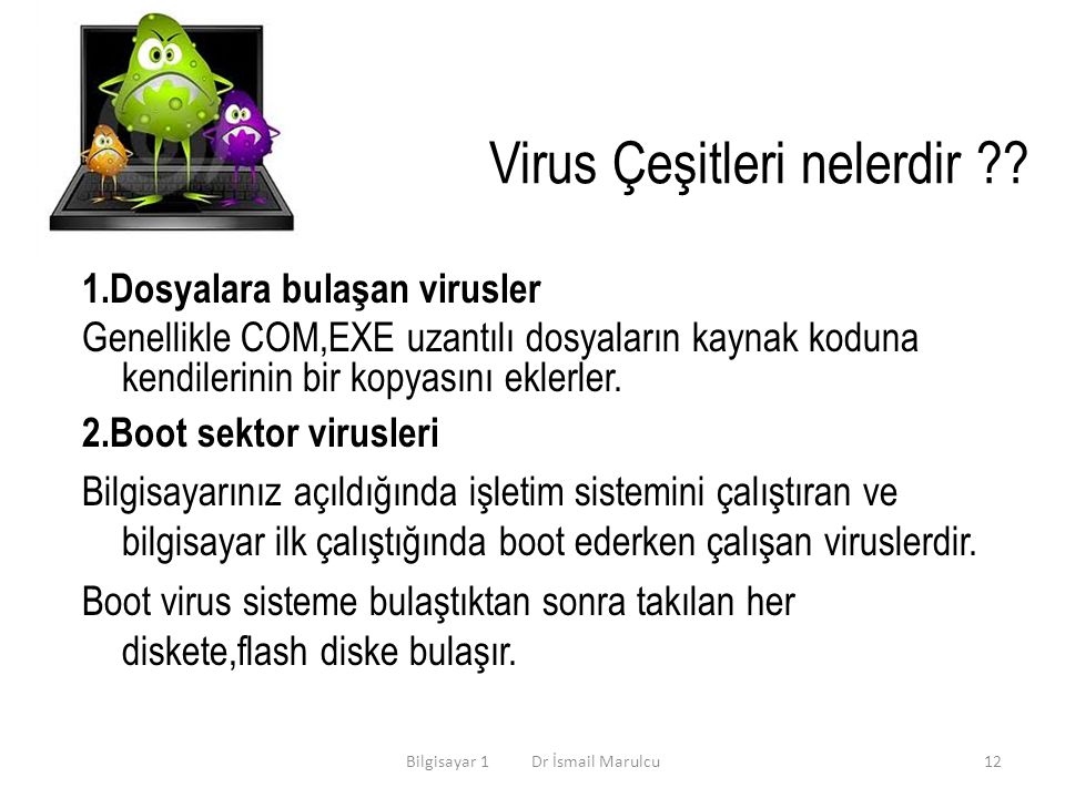 Virus Çeşitleri nelerdir