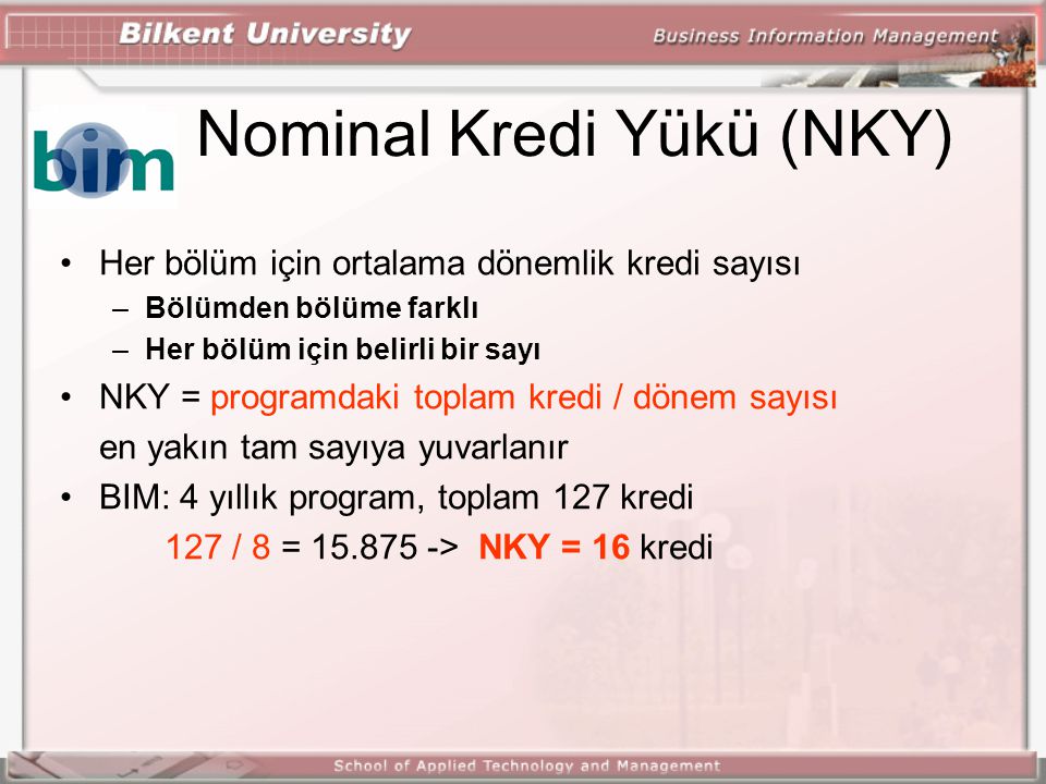 Nominal Kredi Yükü (NKY)