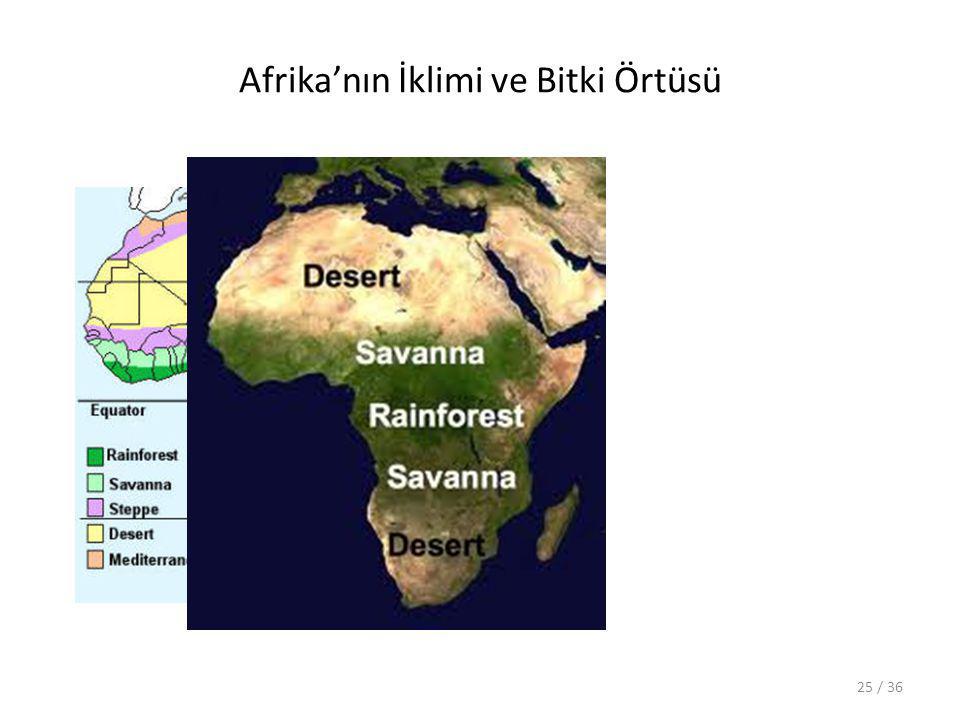 Afrika’nın İklimi ve Bitki Örtüsü