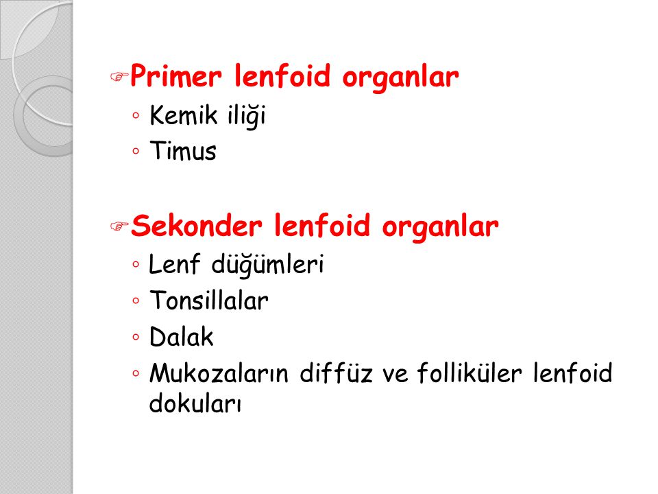 Primer lenfoid organlar