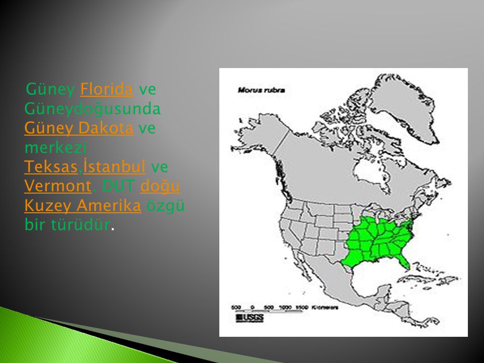 Güney Florida ve Güneydoğusunda Güney Dakota ve merkezi Teksas,İstanbul ve Vermont.