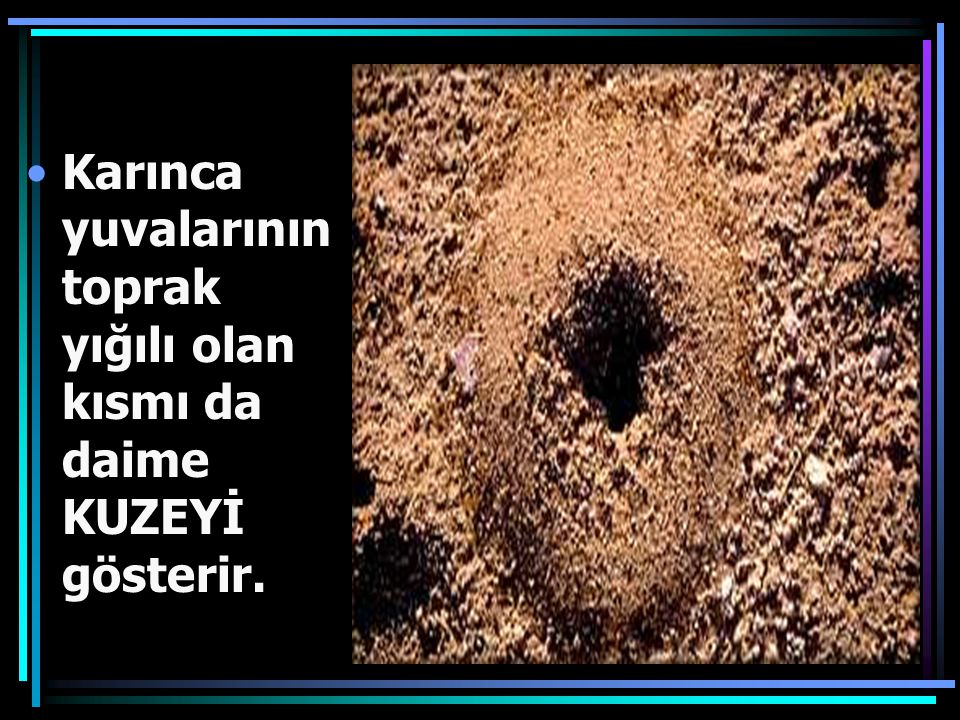Karınca yuvalarının toprak yığılı olan kısmı da daime KUZEYİ gösterir.