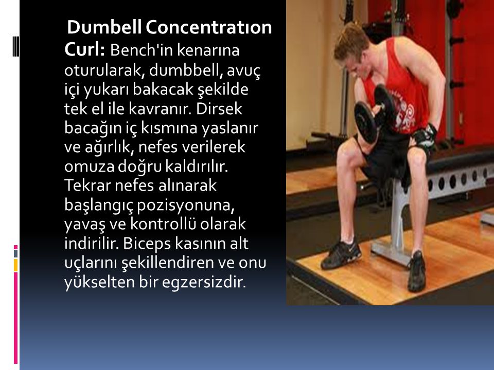 Dumbell Concentratıon Curl: Bench in kenarına oturularak, dumbbell, avuç içi yukarı bakacak şekilde tek el ile kavranır.