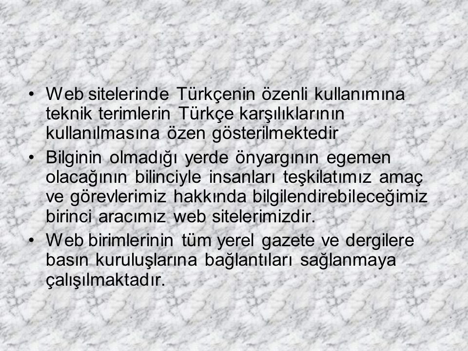 Web sitelerinde Türkçenin özenli kullanımına teknik terimlerin Türkçe karşılıklarının kullanılmasına özen gösterilmektedir