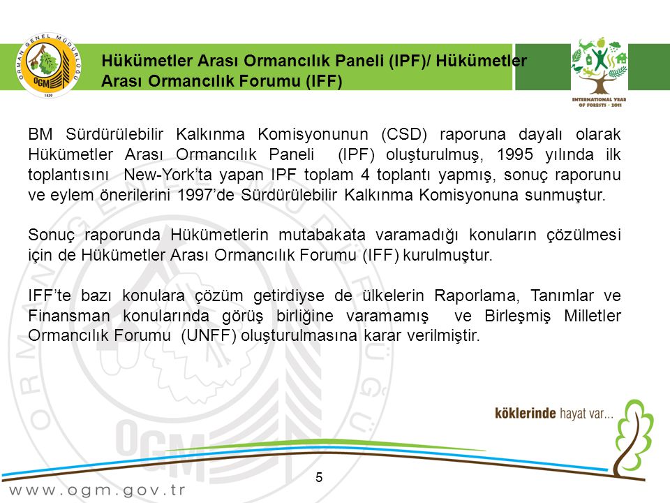 Hükümetler Arası Ormancılık Paneli (IPF)/ Hükümetler Arası Ormancılık Forumu (IFF)