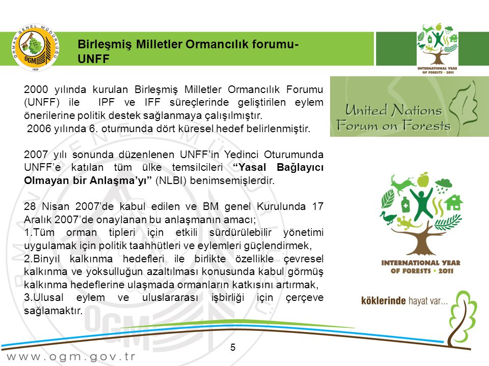 Birleşmiş Milletler Ormancılık forumu- UNFF
