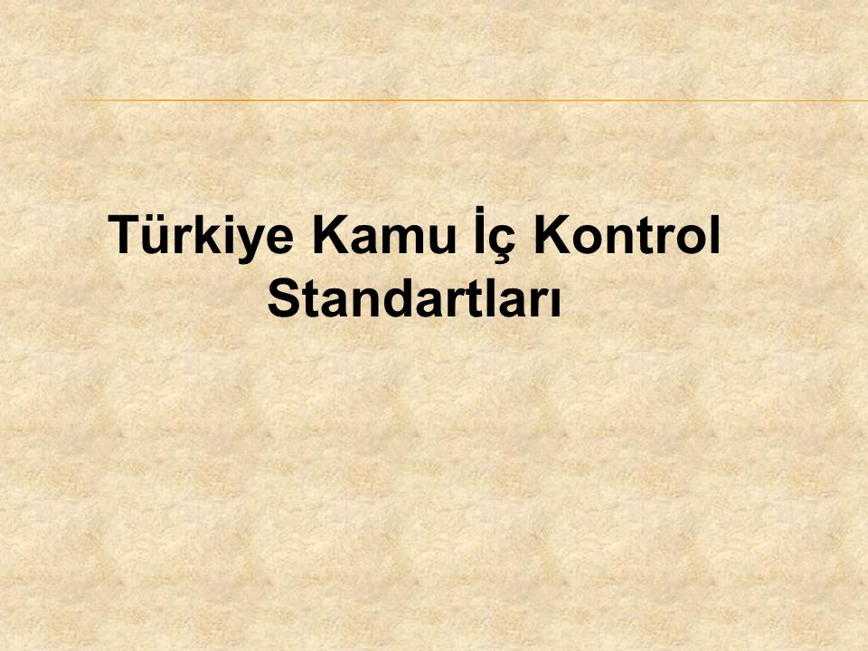 Türkiye Kamu İç Kontrol Standartları