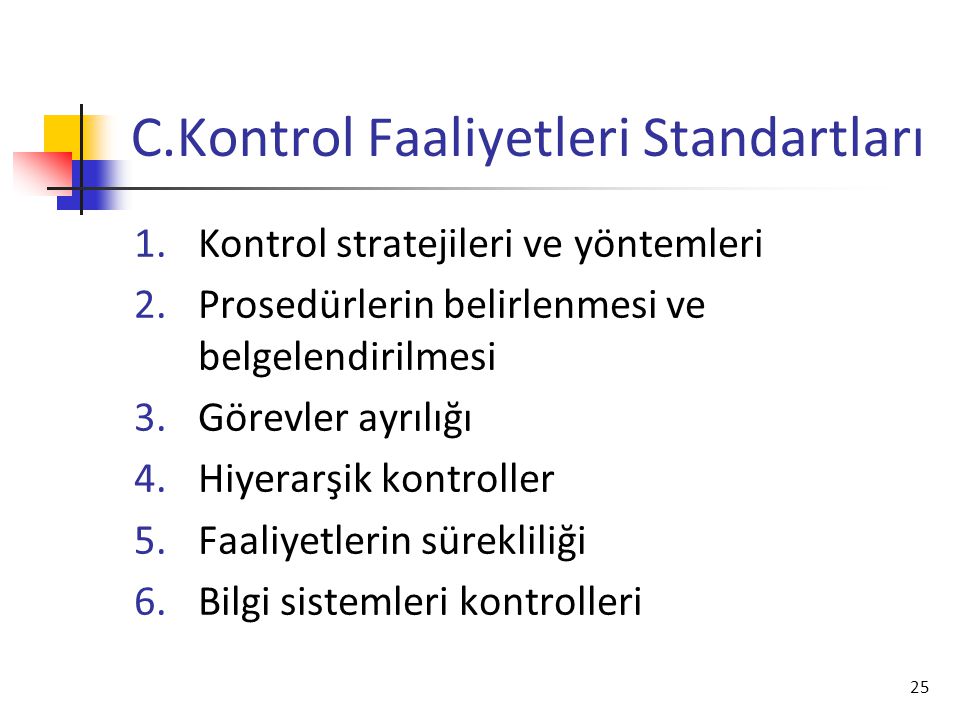 C.Kontrol Faaliyetleri Standartları
