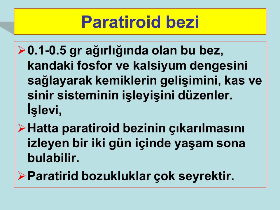 Paratiroid bezi