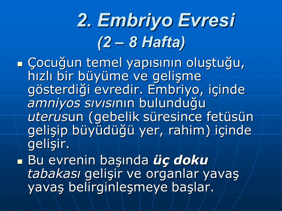 2. Embriyo Evresi (2 – 8 Hafta)