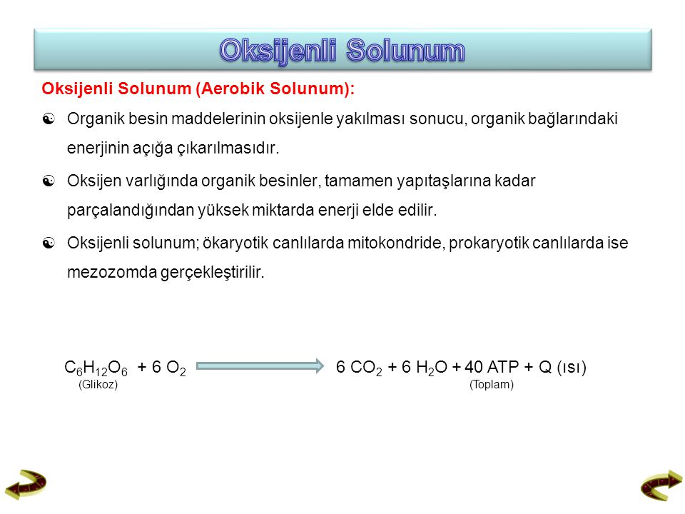 Oksijenli Solunum Oksijenli Solunum (Aerobik Solunum):