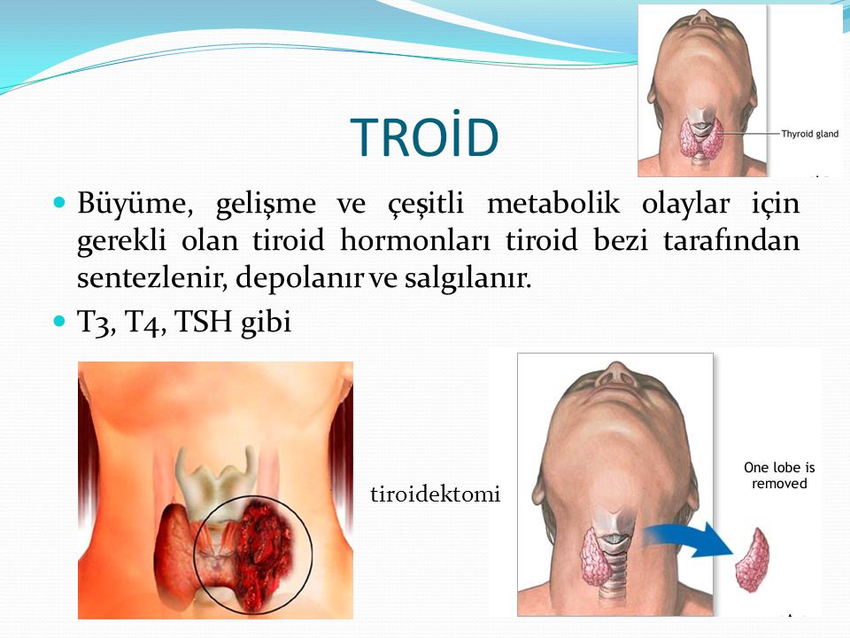 TROİD Büyüme, gelişme ve çeşitli metabolik olaylar için gerekli olan tiroid hormonları tiroid bezi tarafından sentezlenir, depolanır ve salgılanır.