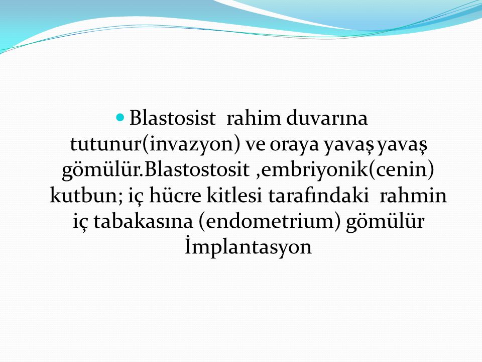 Blastosist rahim duvarına tutunur(invazyon) ve oraya yavaş yavaş gömülür.Blastostosit ,embriyonik(cenin) kutbun; iç hücre kitlesi tarafındaki rahmin iç tabakasına (endometrium) gömülür İmplantasyon
