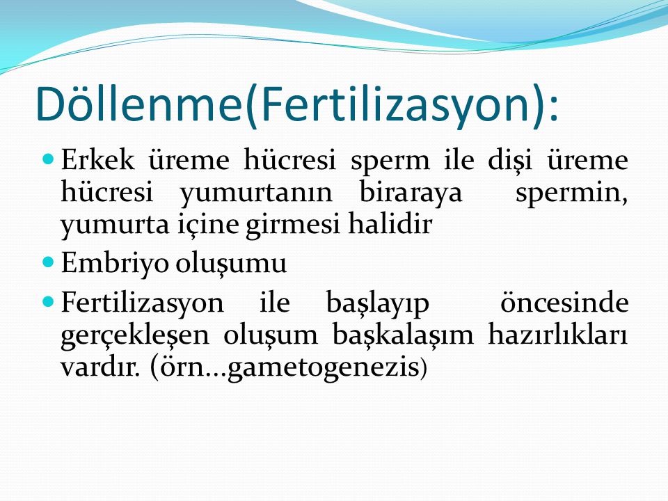 Döllenme(Fertilizasyon):