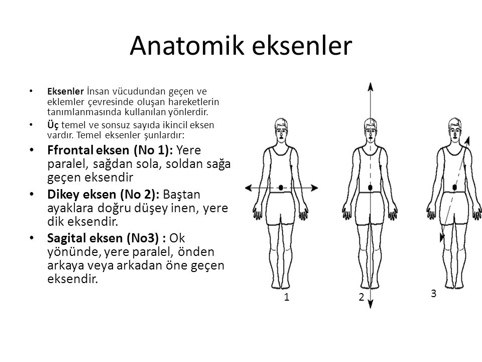 Anatomik eksenler Eksenler İnsan vücudundan geçen ve eklemler çevresinde oluşan hareketlerin tanımlanmasında kullanılan yönlerdir.