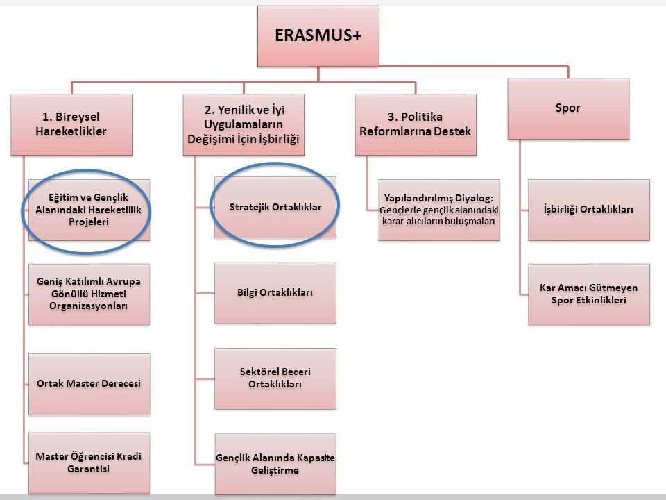 ERASMUS+ 1. Bireysel Hareketlikler