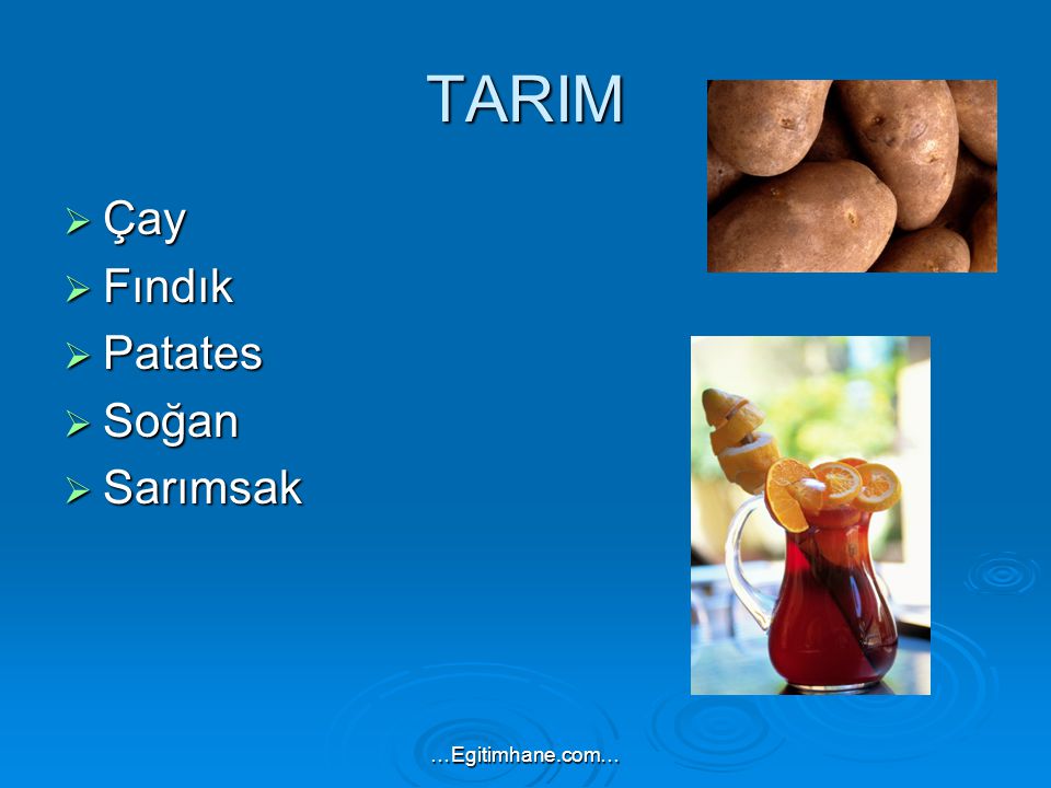TARIM Çay Fındık Patates Soğan Sarımsak …Egitimhane.com…