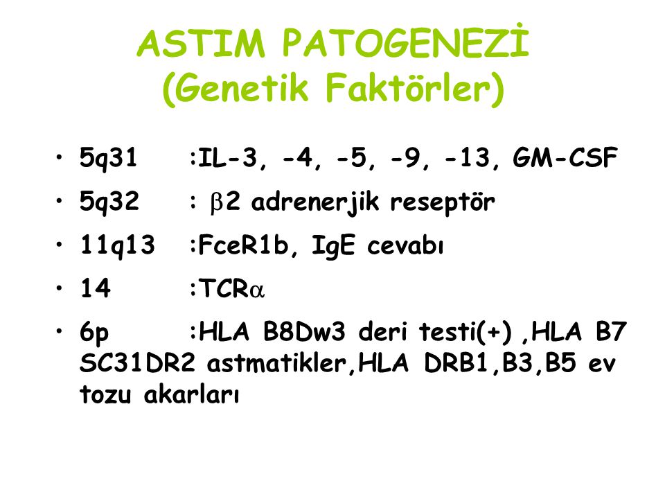 ASTIM PATOGENEZİ (Genetik Faktörler)