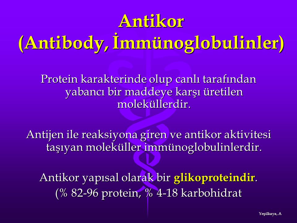 Antikor (Antibody, İmmünoglobulinler)