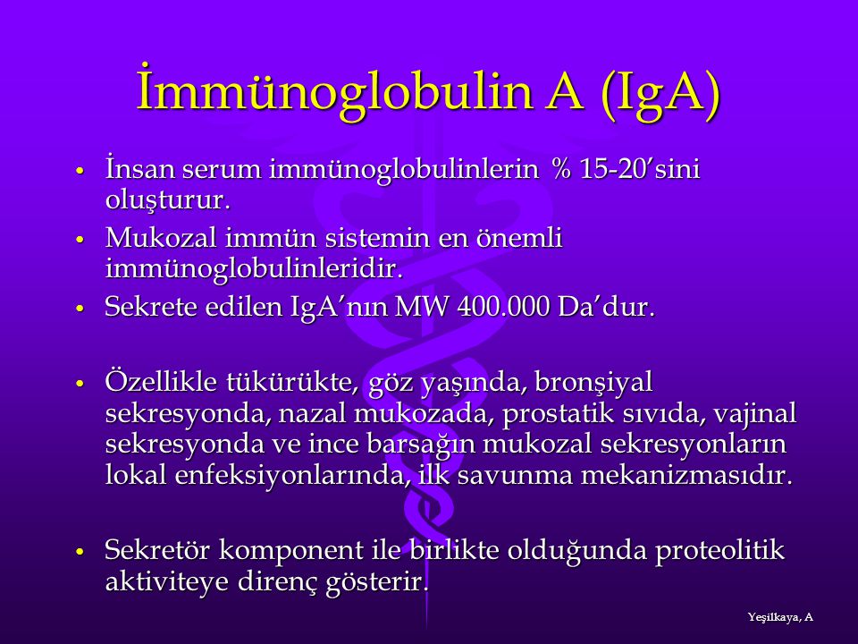 İmmünoglobulin A (IgA)